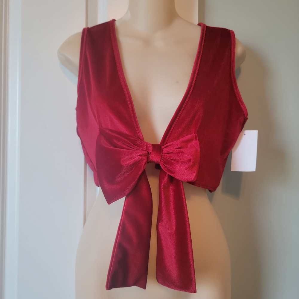 Christmas Top Sexy